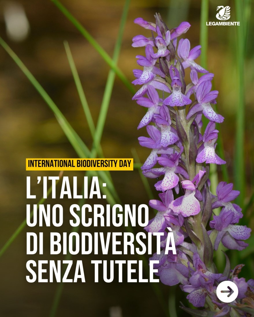 Biodiversità, Legambiente, Facebook